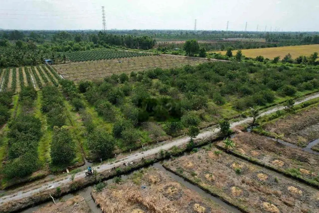 1000m Vườn Chanh DT Đẹp 18x55m