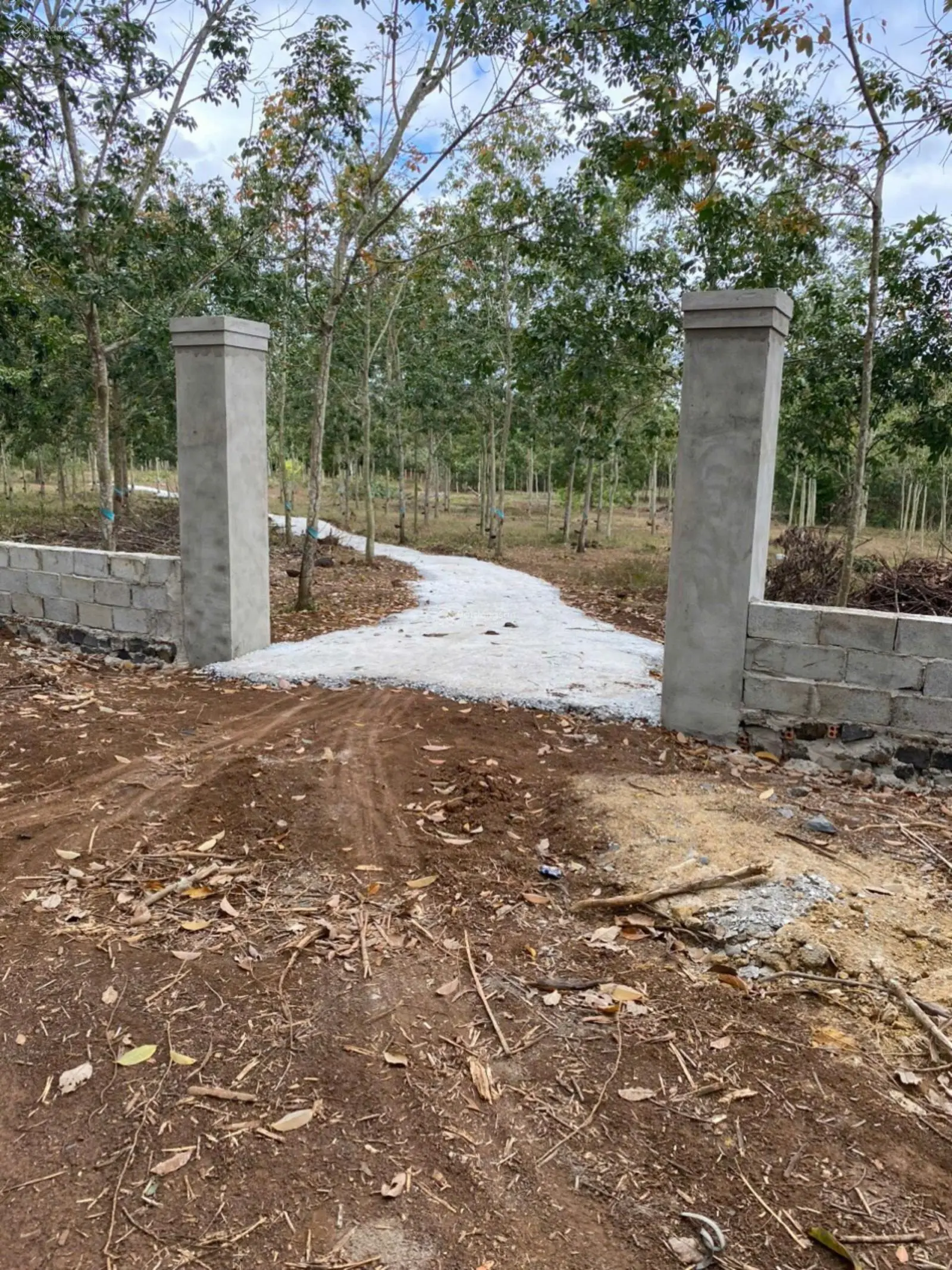 Cần bán 1.8ha đất 2 mặt tiền đường ô tô giá ngộp chỉ 390 triệu/ sào - LH: 0909 124 ***