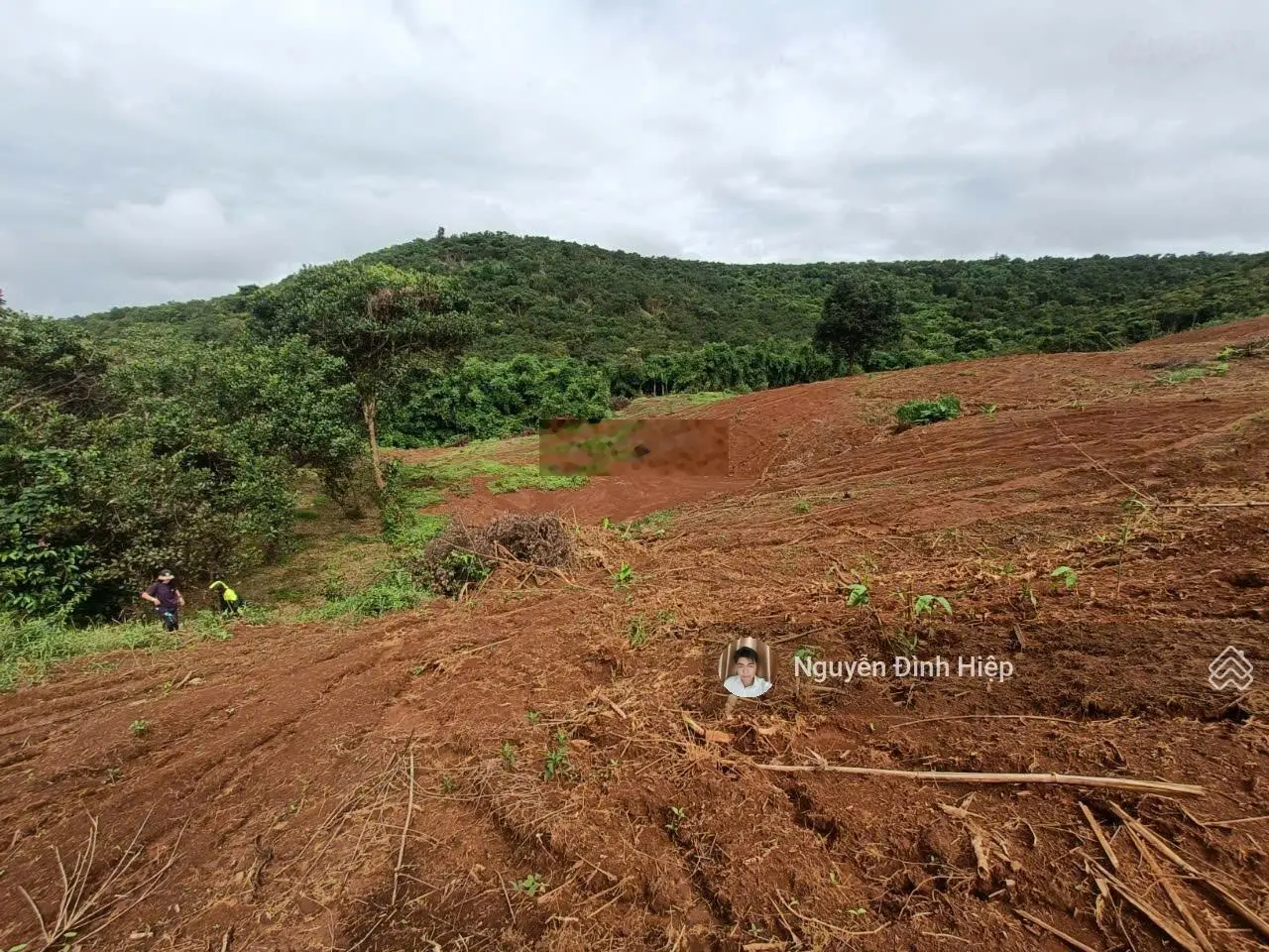 Bán đất Quảng Tân, 2.6ha, 100m đường đang đổ bê tông, giá bán 1,5 tỷ