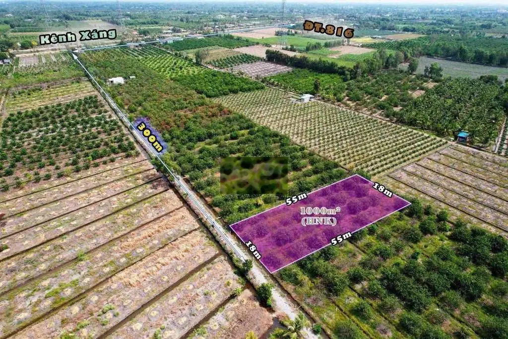 1000m Vườn Chanh DT Đẹp 18x55m