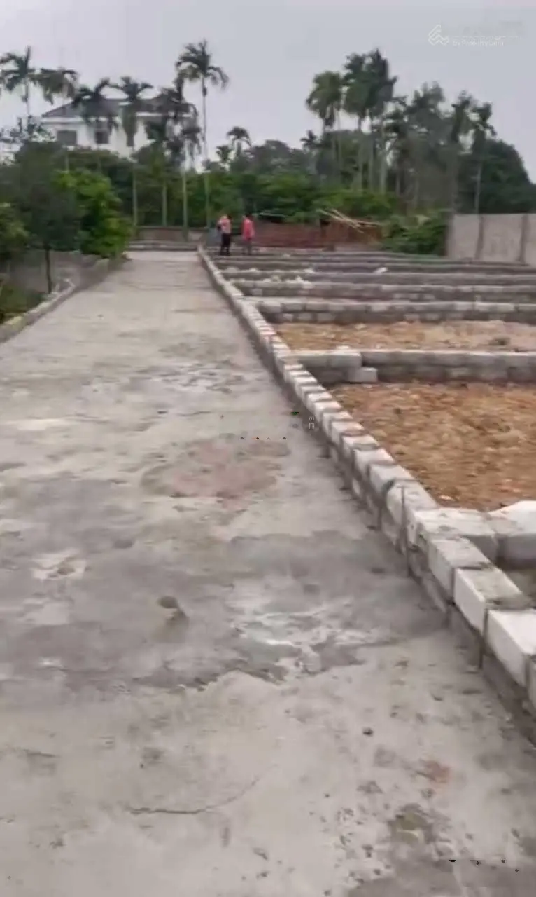 Chỉ 1,230 tỷ có ngay 46,4m2 đất sổ đỏ Thanh Oai Hà Nội