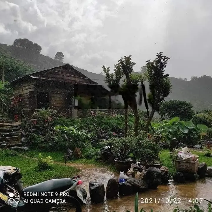 bán trang trại 3 ha 30 tỷ cách sân bay liên khương 1km lâm đồng .