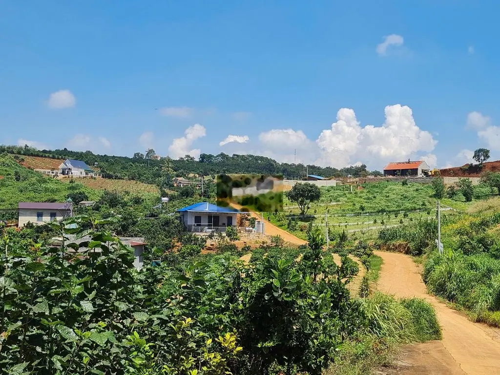 Đất đẹp ở khu nghỉ dưỡng cách Chợ Đà Lạt 25km view đồi hoa cực Chill