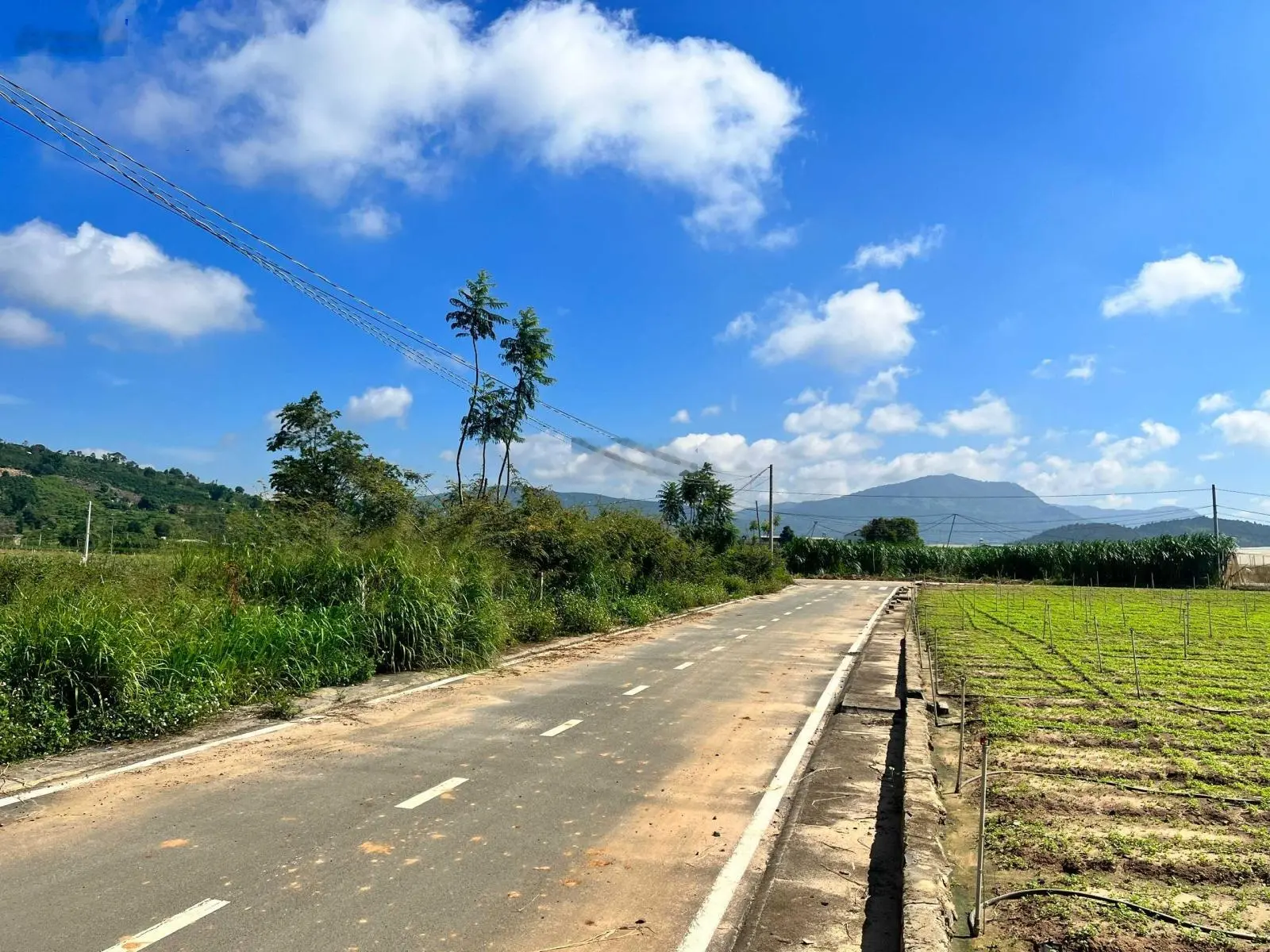 Siêu phẩm đất khu phân lô ven sông Đa Nhim, trung tâm xã Hiệp Thạnh, đường nhựa 6m chỉ 1 tỷ 050