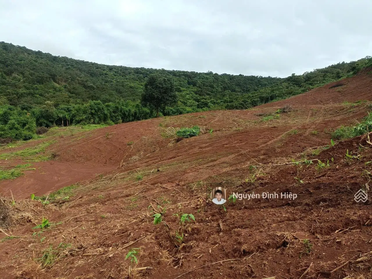 Bán đất Quảng Tân, 2.6ha, 100m đường đang đổ bê tông, giá bán 1,5 tỷ