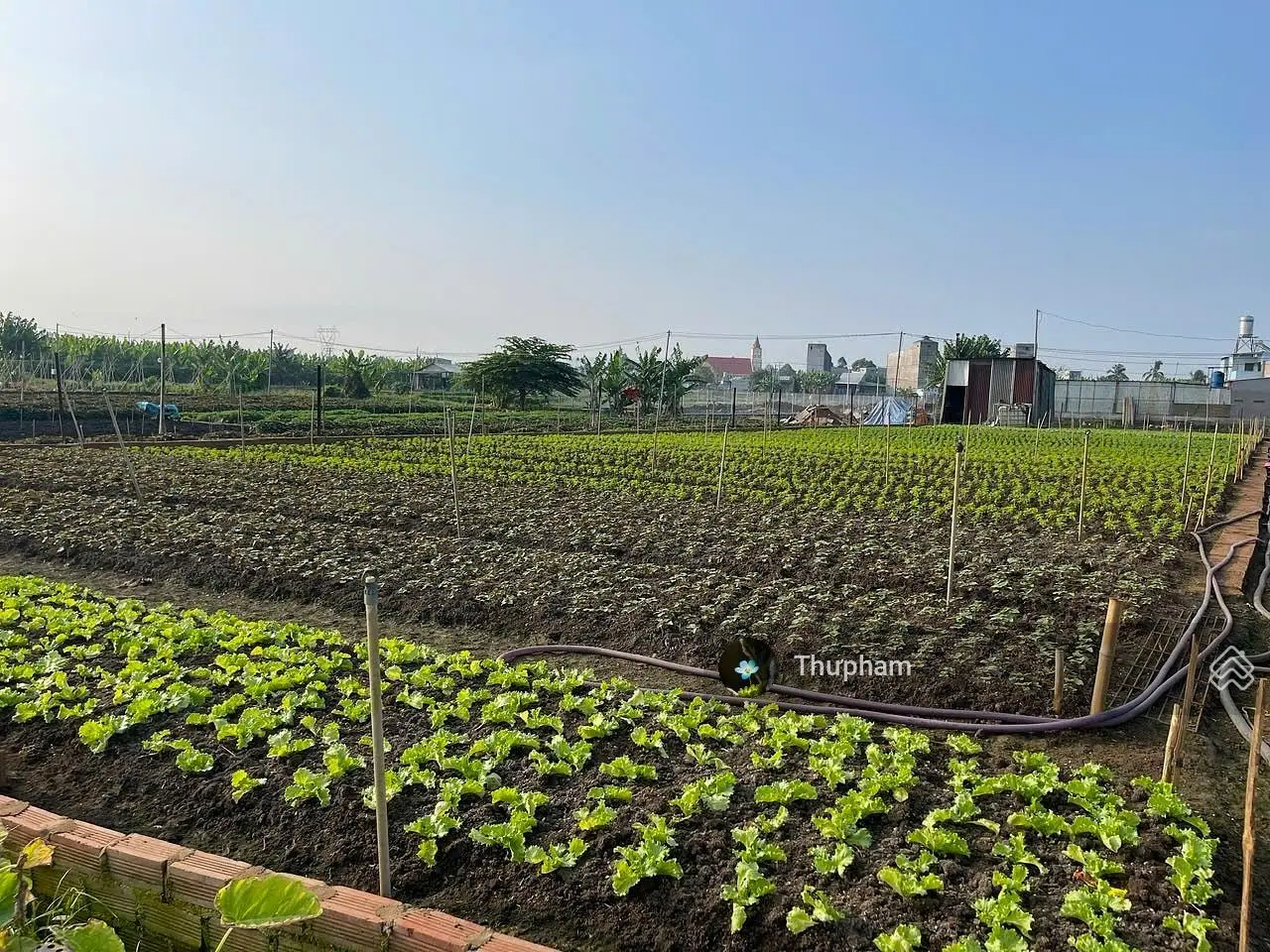 Cơ hội sở hữu đất nền thổ cư tại Thống Nhất, Đồng Nai - Vị trí đắc địa, giá hợp lý.