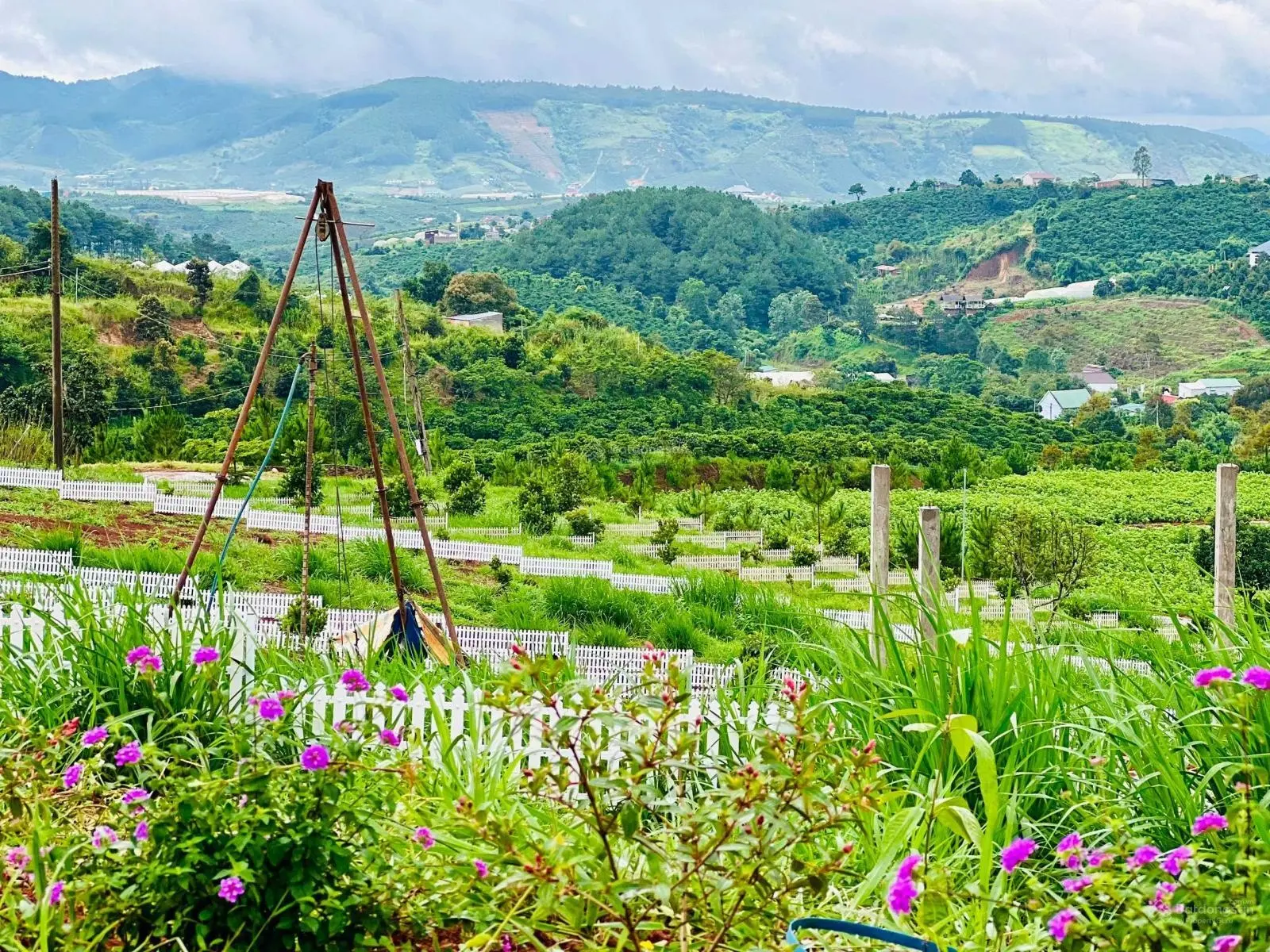 Duy nhất 1 lô đất nghỉ dưỡng view đẹp - gần TP Đà Lạt giá rẻ. Sổ hồng sẵn, có sẵn thổ cư