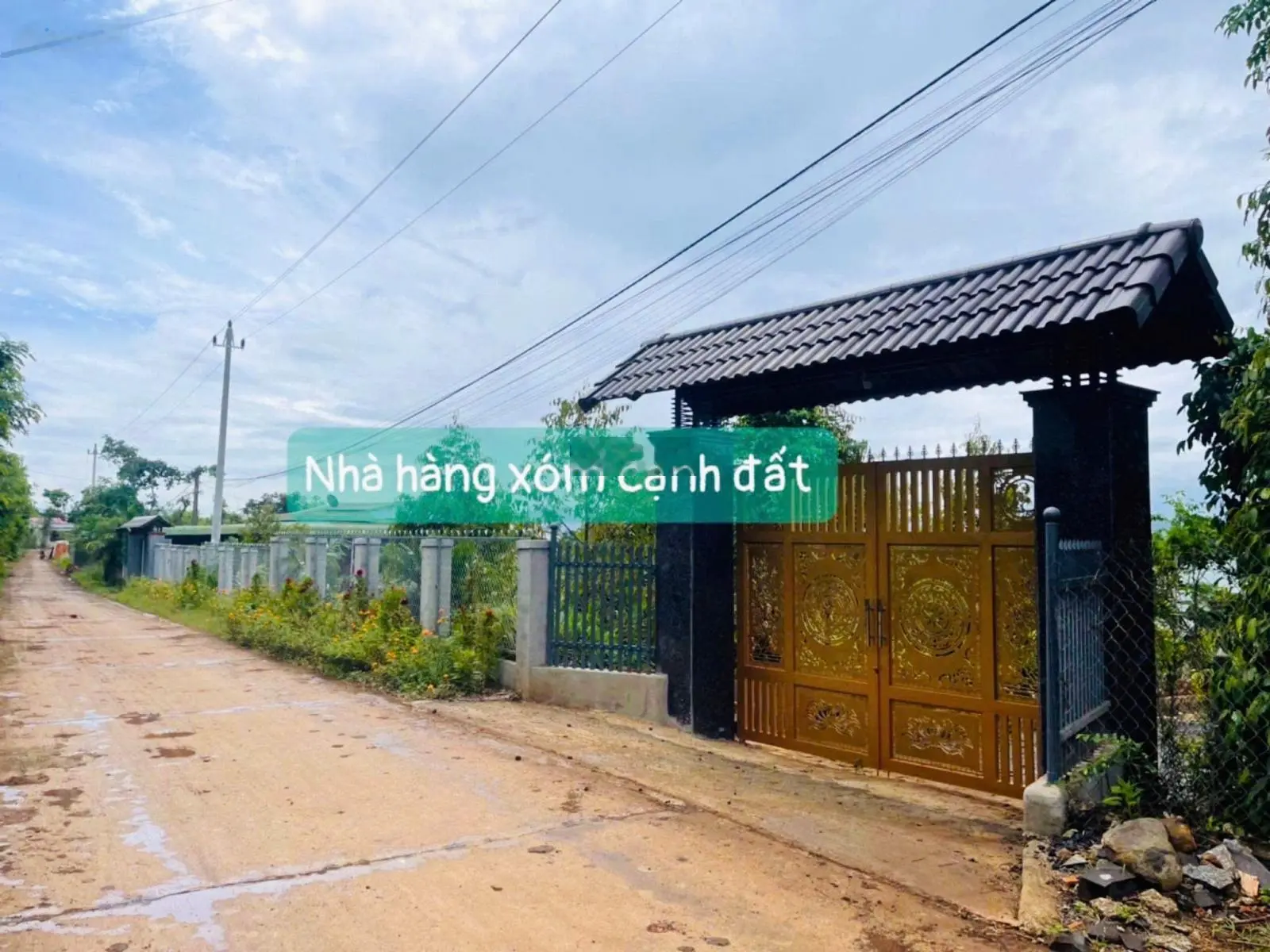 Chiếc view cánh đồng ngay khu biệt thự nở hậu