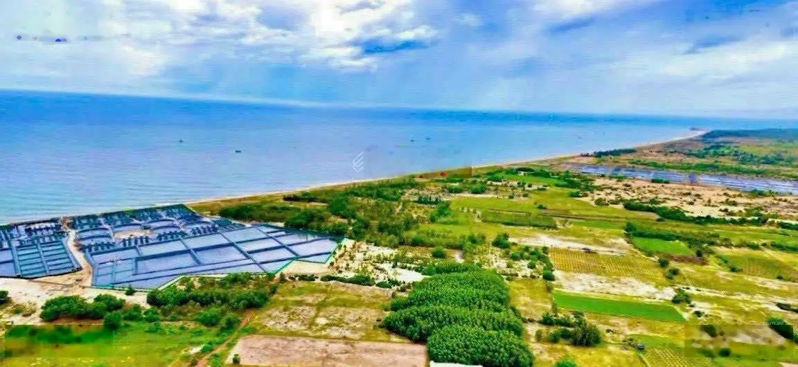 Bán gấp 6000m2 đất mặt tiền liên huyện sân bay Phan Thiết Hồng Thái giá 1 tỷ xx đợi làm đường x20