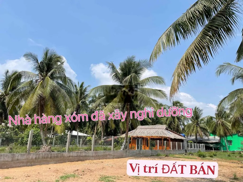 723m2 đất đẹp - vườn đẹp, view vườn dừa mát mẻ, cách SG 65km, giá rẻ c