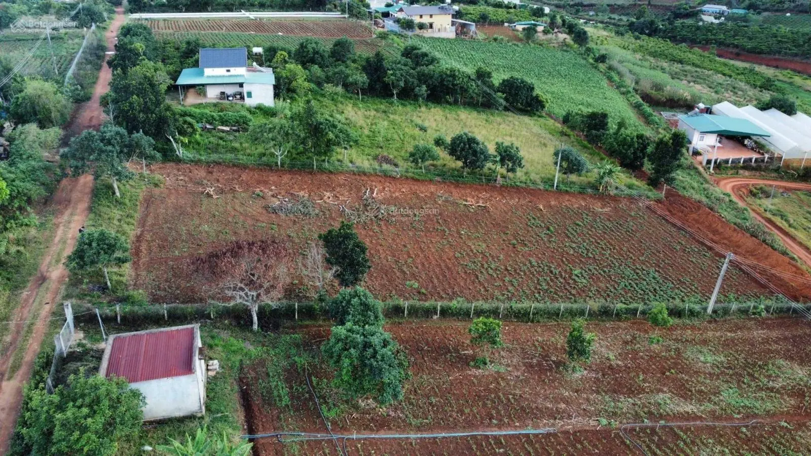 Gấp! Bán cắt lỗ đất Tà Nung, TP Đà Lạt làm nhà vườn, homestay nghỉ dưỡng giá chỉ từ 5 tr/m2