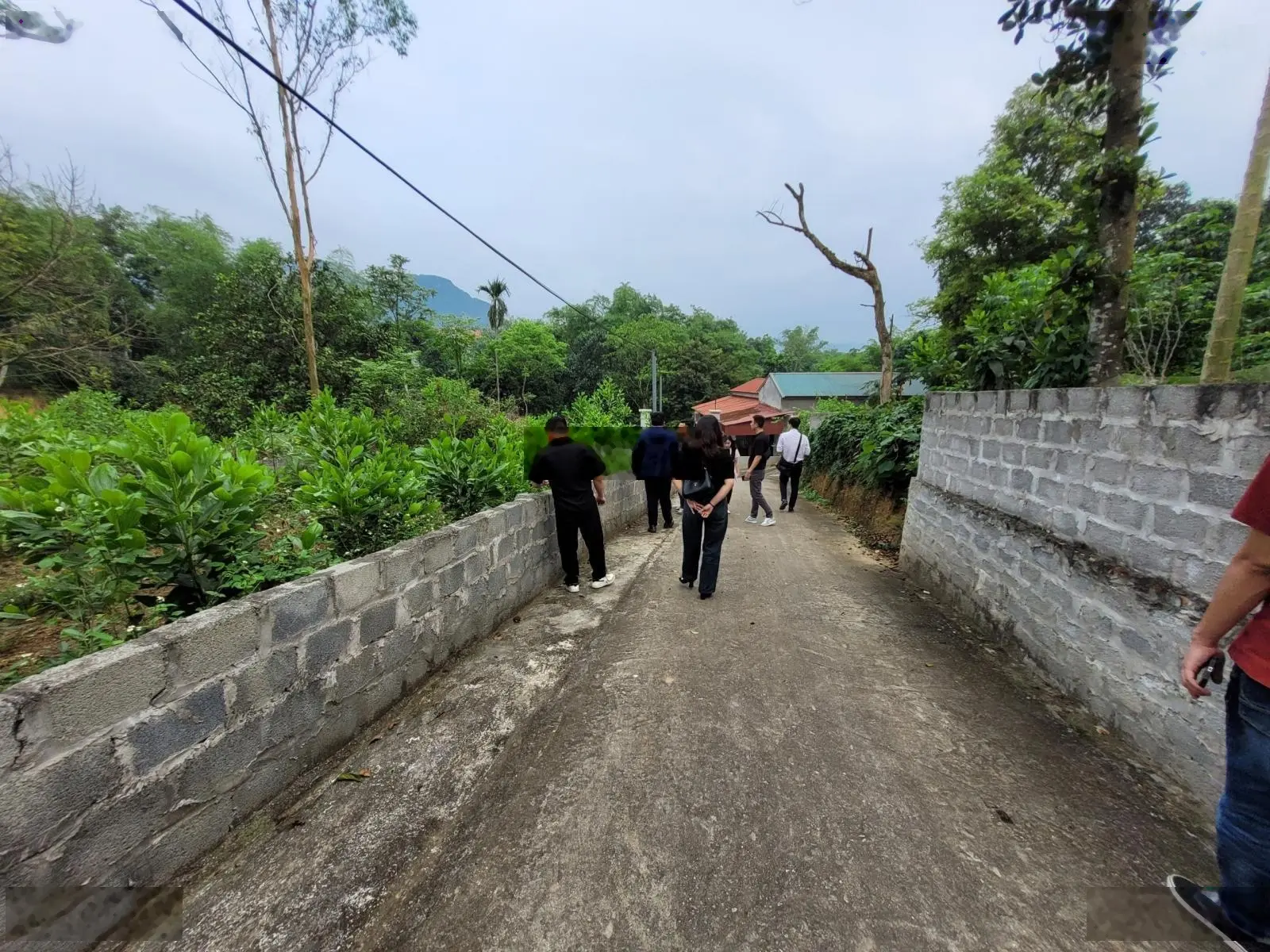 Ngân hàng thanh lý 295m2 đất sổ đỏ vuông đẹp tại An Phú, Mỹ Đức