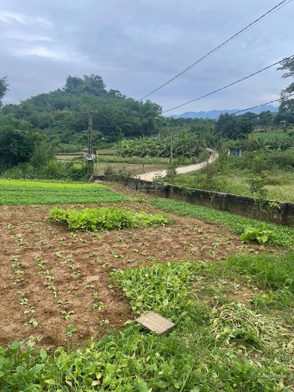 Siêu phẩm tại Thu Phong, Cao Phong, hoà bình. 1000m2- 500tc. mt:20m. Giá:1,2tỷ