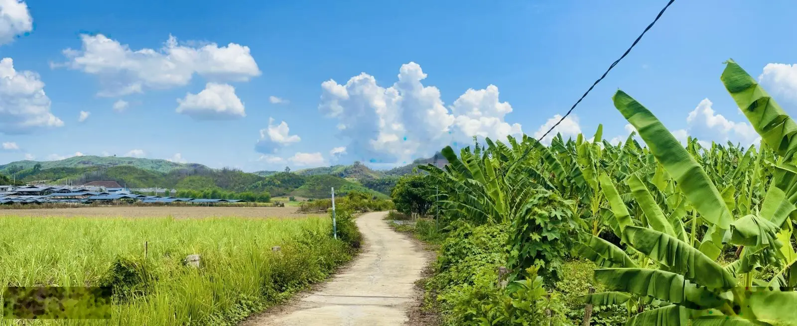 5 sổ Sông Cầu thích hợp làm farm nghỉ dưỡng Thuộc qh đất ở Đường bê tông ô tô tới nơi Trên đất có s