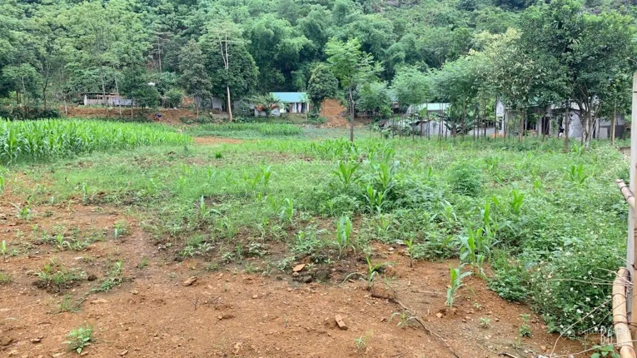 Diện tích: 3277.8m, đất ở 400m, còn lại là cln tại Cư Yên. Lương Sơn, Hòa Bình.