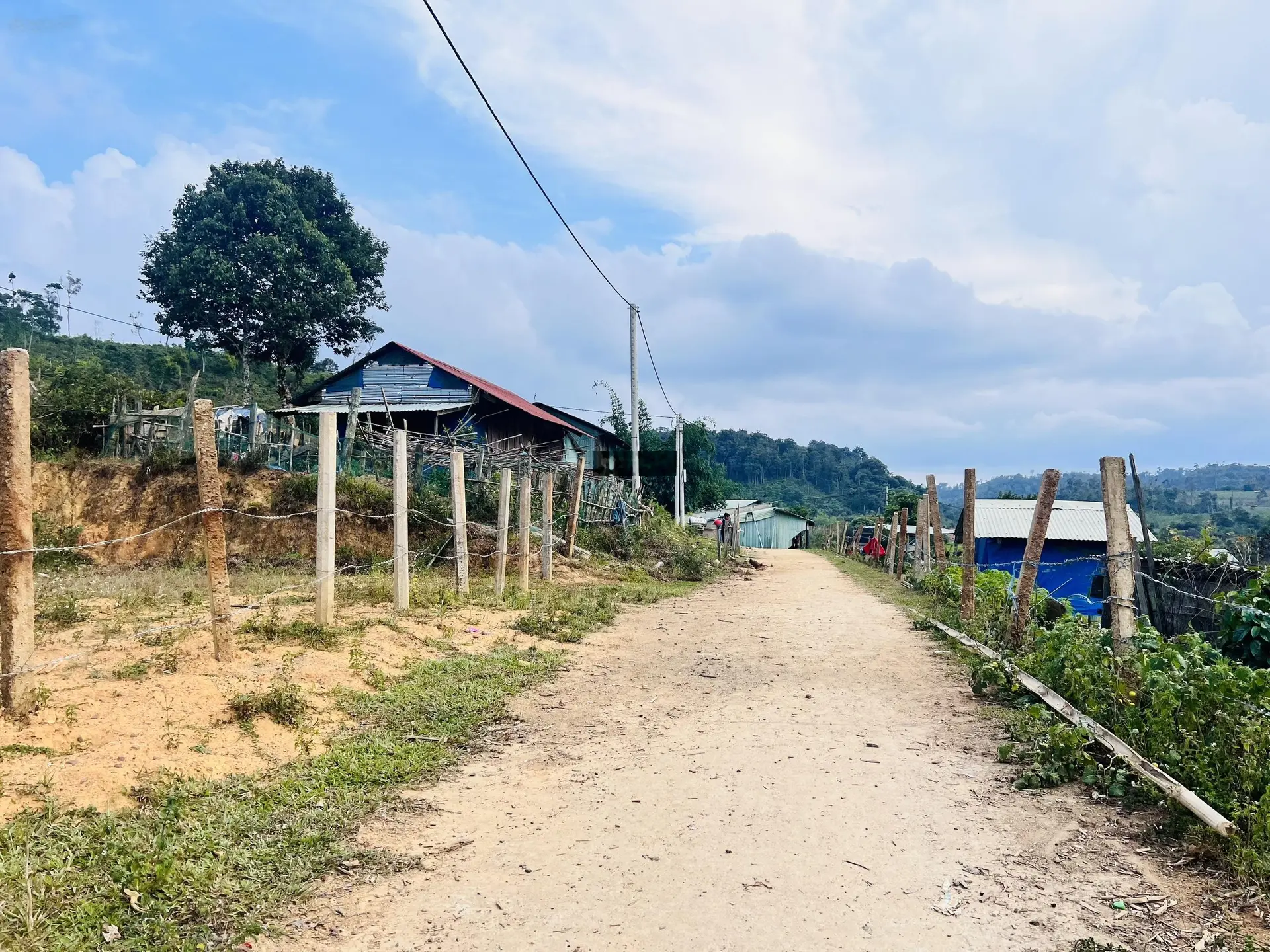 Bán đất Măng Đen, Kon Plông, Kon Tum. Cách TT chỉ 3km, giáp rừng, view suối