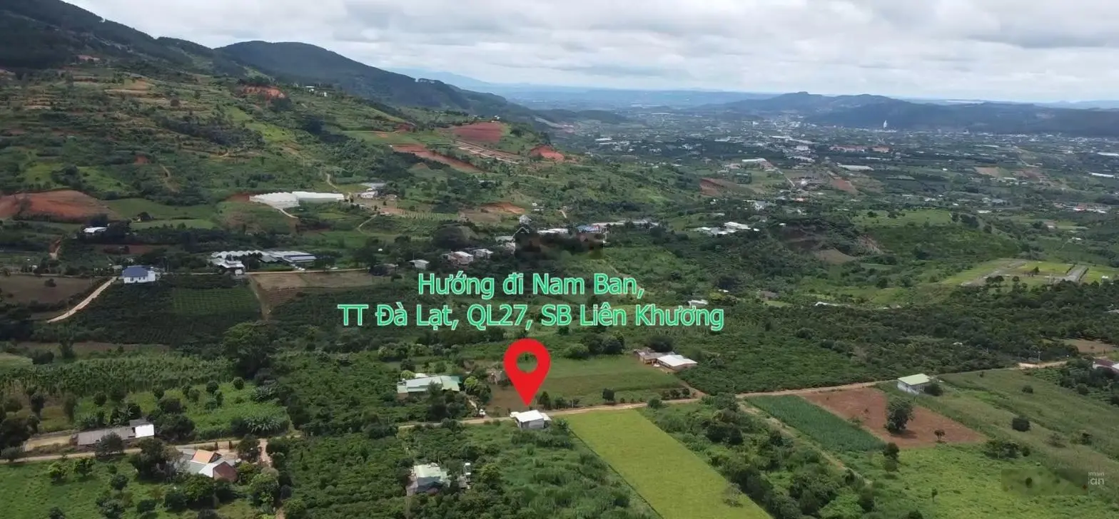 Nhà Vườn Đông Thanh, Lâm Hà, 7000m2 ( 100m2 ONT )