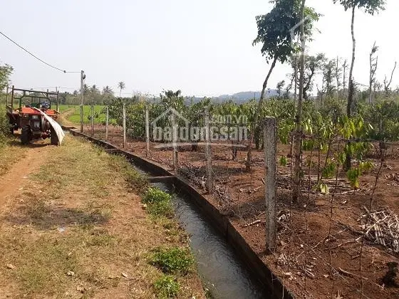 Bán đất Ea Pok, Cư Mgar, Dak Lak Buôn Ma Thuột 3000 m2 - giá 2,5 tỷ