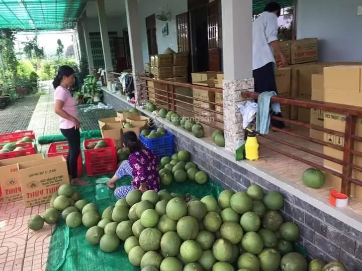 Bán nhà vườn tại xã Hiếu Liêm, huyện Bắc Tân Uyên, Bình Dương diện tích 9477 mét vuông