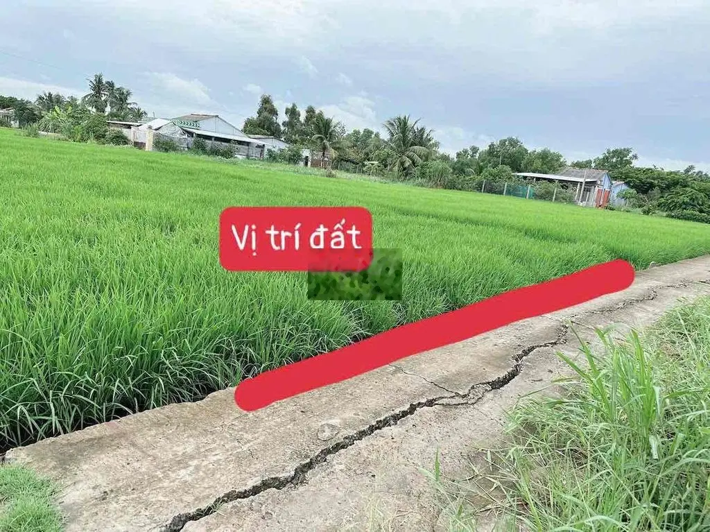 lô thổ cư an nhựt tân 137m2 giá 419tr đường ba gác