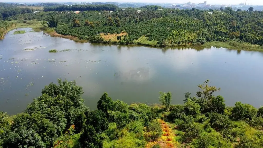 Bán đất view hồ mặt tiền đường nhựa xã nhân đạo - đăkrlấp - đăk nông