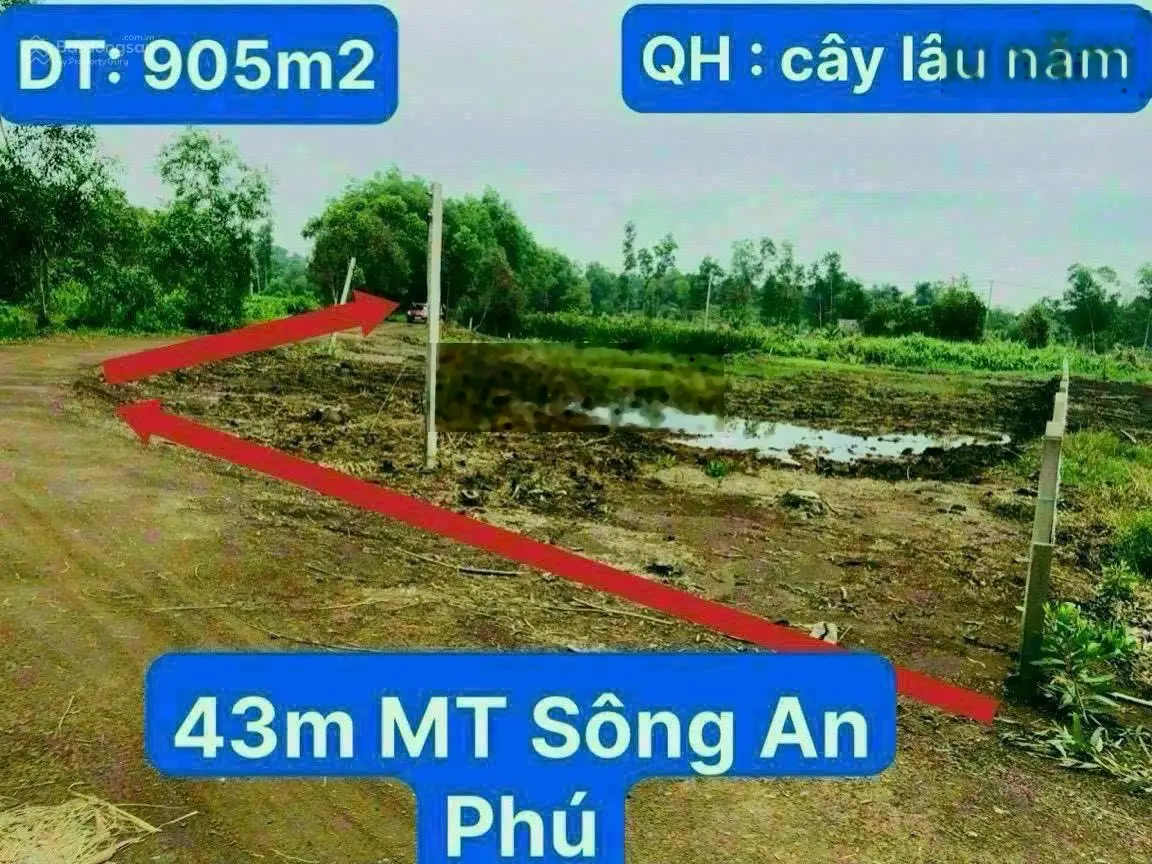 905m2 - 43m2 MT sông An Phú giá 1.650 tỷ