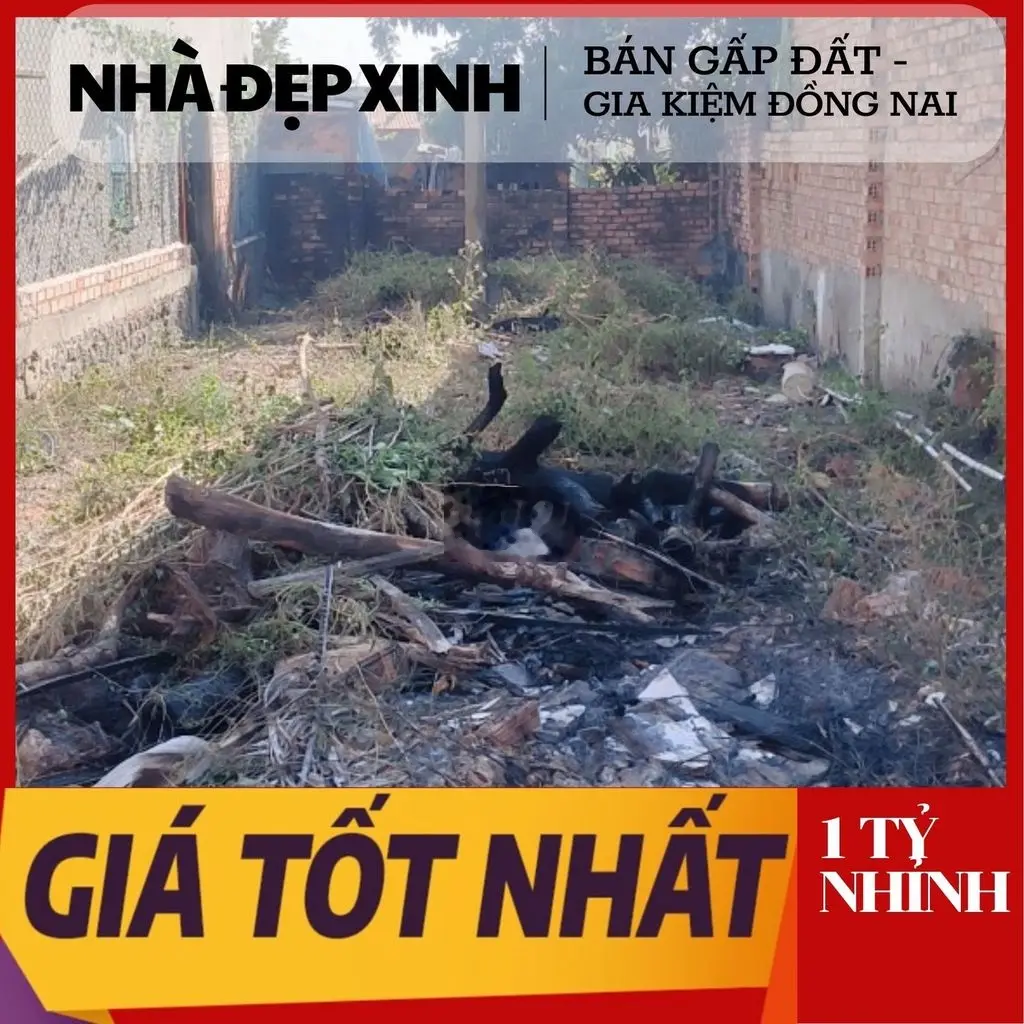 Gia Đình Kẹt Tiền Cần Bán Gấp Đất Xây Nhà 5.5*20 m, Nhỉnh 1 tỷ