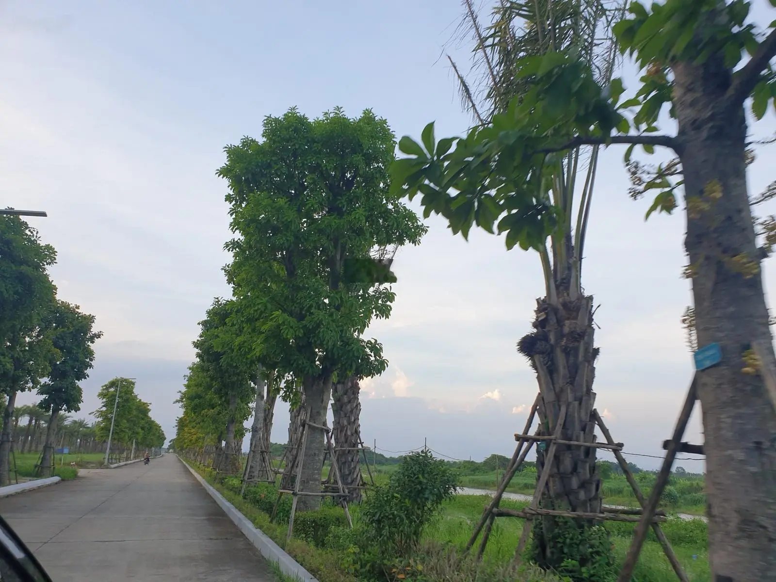 Chính chủ cần bán lô đất tại khu sinh thái Cẩm Đình - Hiệp Thuận, Phúc Thọ, Hà Nội