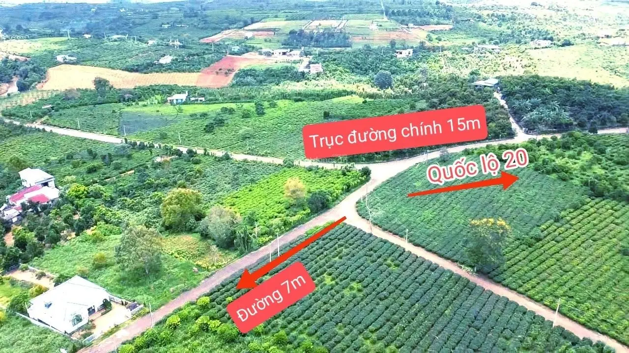 Đất nhà vườn tại Bảo Lộc 515m2 (Ngang 12*dài 45m) có 200m2 thổ cư - gía bán 1tỷ85. LH 0931 861 ***