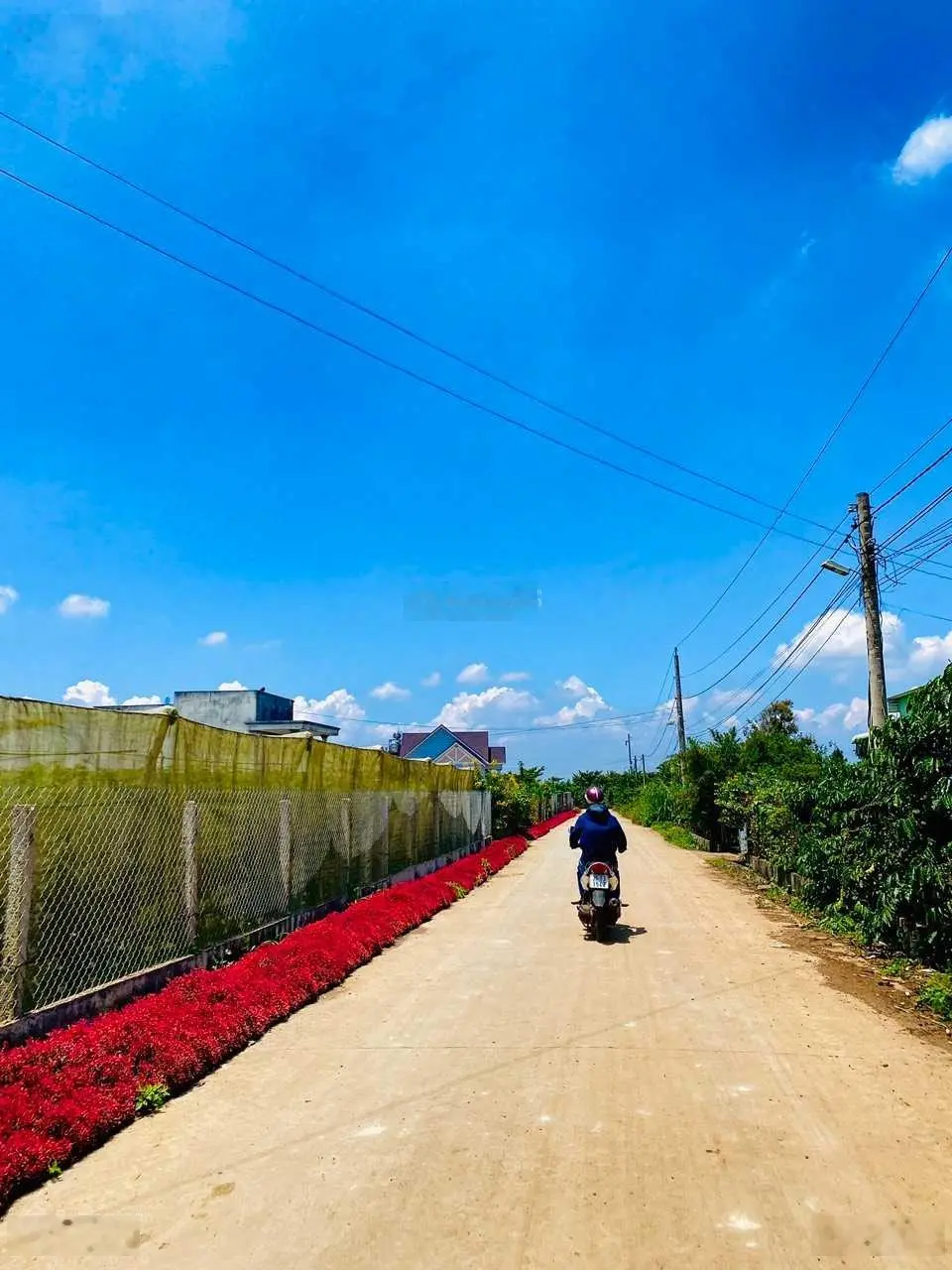 Đất ven Đà Lạt| Cách sân bay Đà Lạt chỉ 4.5 km