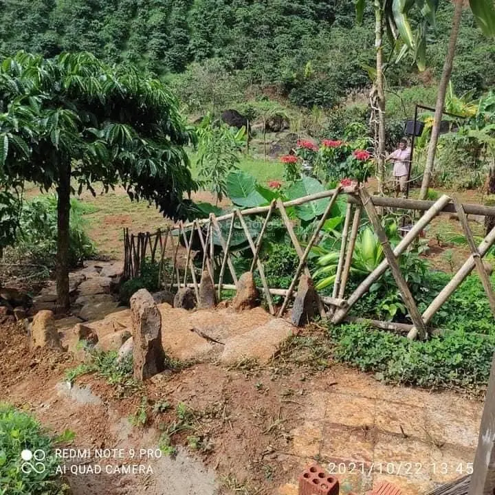 bán trang trại 3 ha 30 tỷ cách sân bay liên khương 1km lâm đồng .