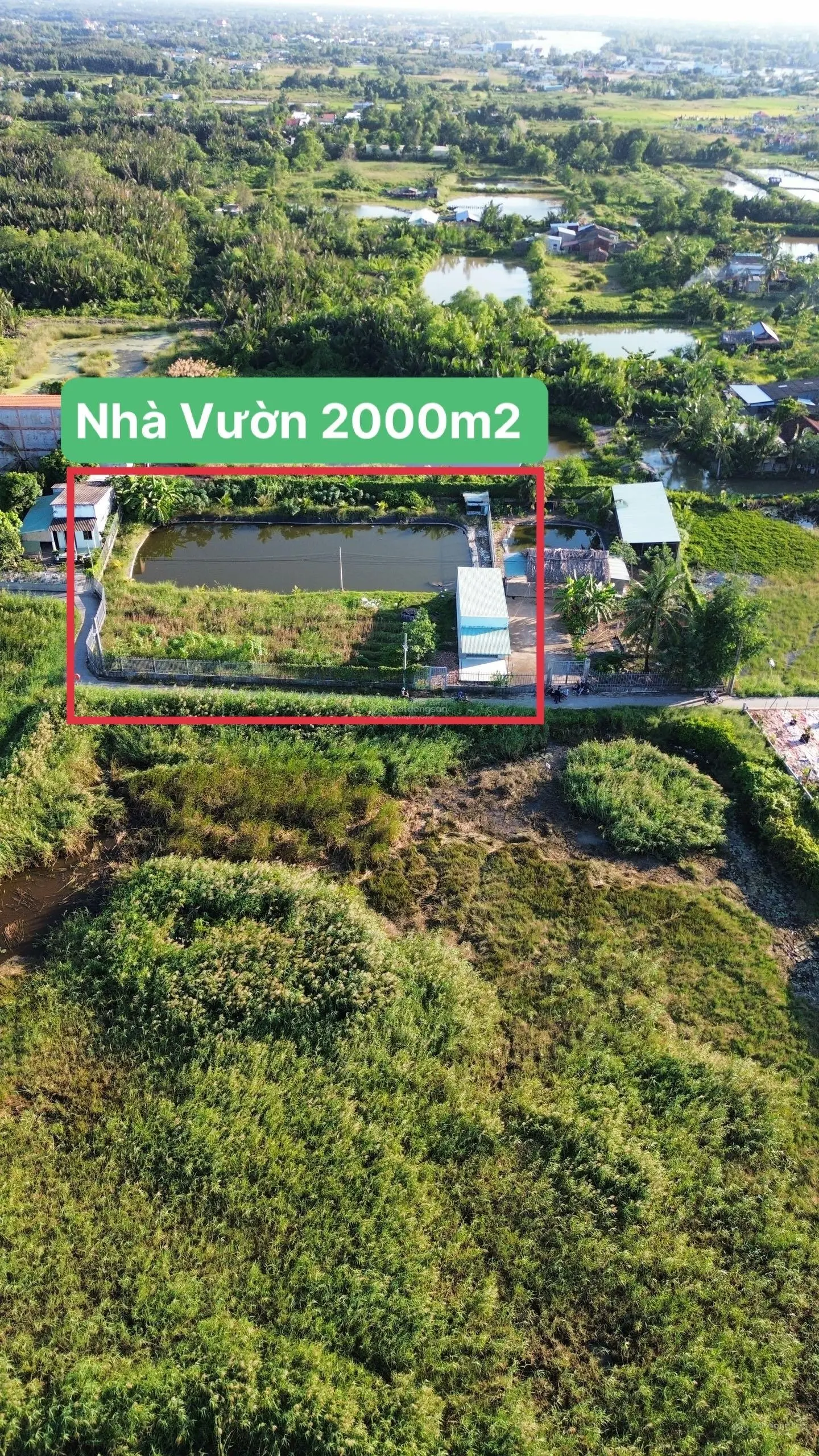 Nhà vườn ao cá 2000m2 xã Phước Lại, Cần Giuộc, Long An. LH: 0932 666 *** em Hải