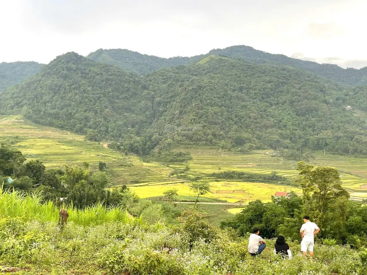 Lô đất có diện tích ~ 2000m2 sẵn 200m2 thổ cư tại Cao Phong, Hòa Bình