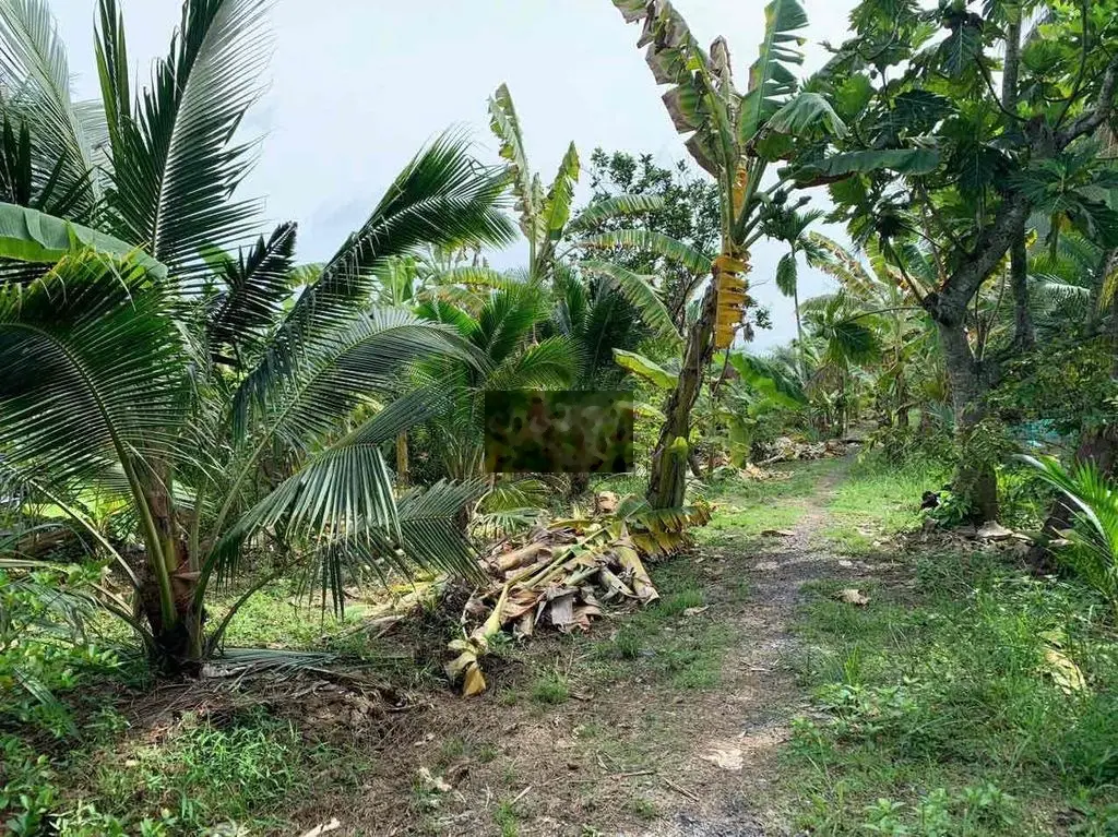 BÁN ĐẤT 5.500M2 VIEW SÔNG BA LAI, XÃ PHƯỚC THẠNH