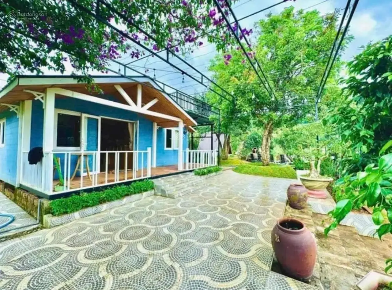 Villa mini sân vườn + 4 bungalow + hồ cá Koi + view rừng thông tại TP Đà Lạt