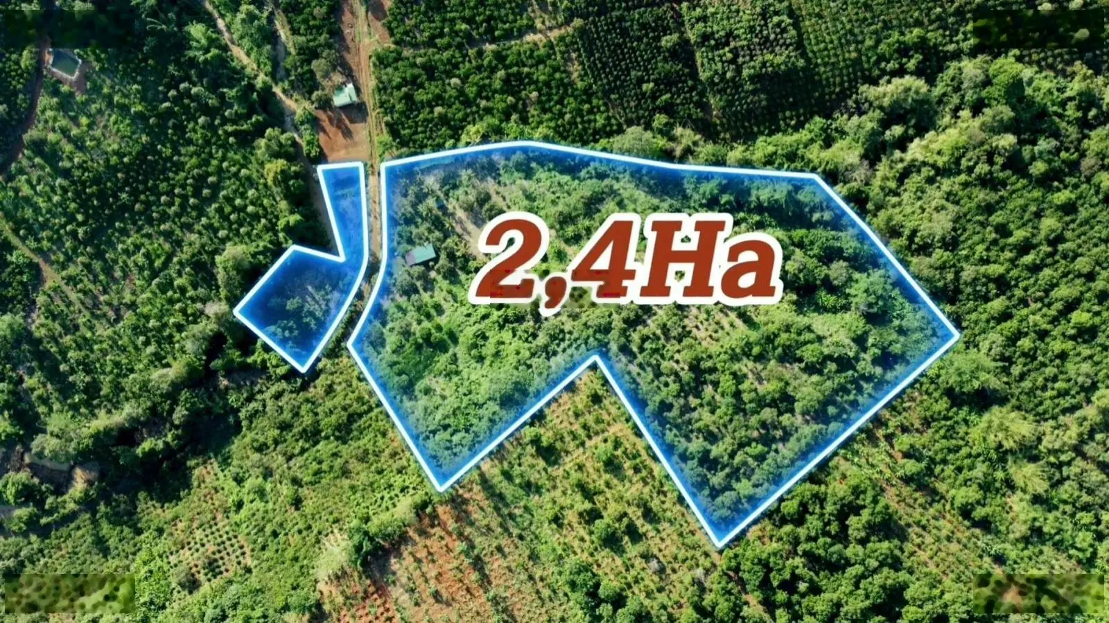 2,4ha đất làm nhà vườn - suối, thác, đảo, vườn cây ăn trái