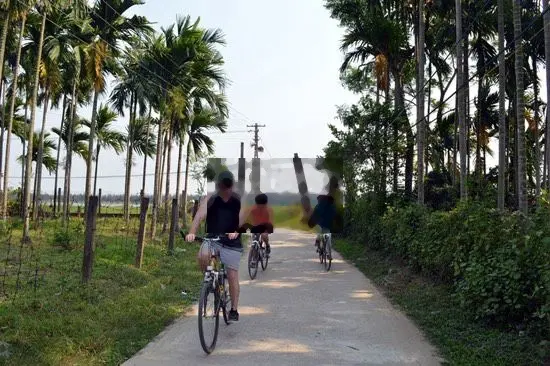 Đất cách Cẩm Kim Hội An 3km- Gần Sông- View Rừng Dừa- 195m2 ngang 10m