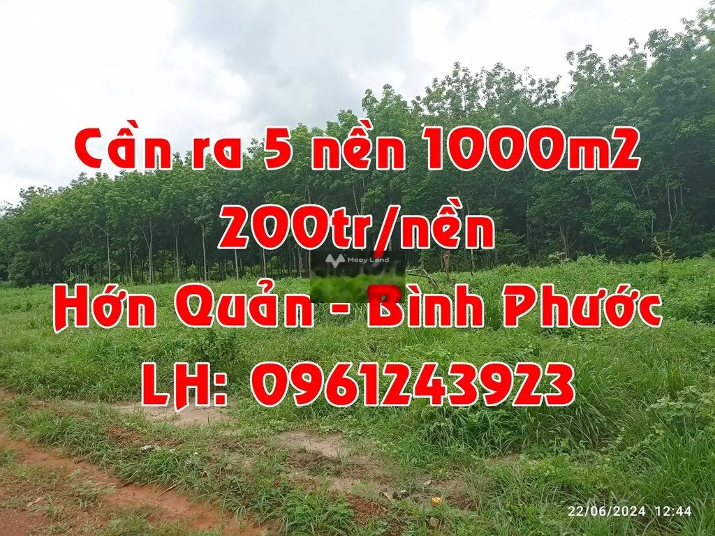 SỈ 5 NỀN 200TR/NỀN/1000M2 TẠI HỚN QUẢN, BÌNH PHƯỚC