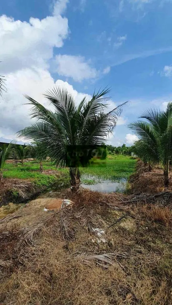 Bán đất - nhà - ao có sẵn trang trại