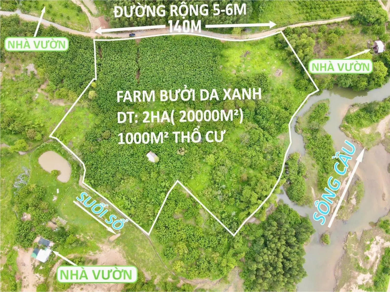 Cần bán 1000m2 đất ONT + 19.000m2 đất CLN + tặng vườn bưởi (giá rẻ)