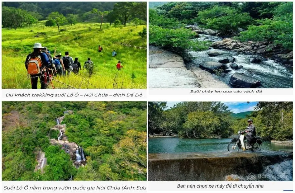 Làm thiện nguyện, bán đất thổ cư làng du lịch Vĩnh Hy Ninh Thuận, giá tốt cho khách ủng hộ