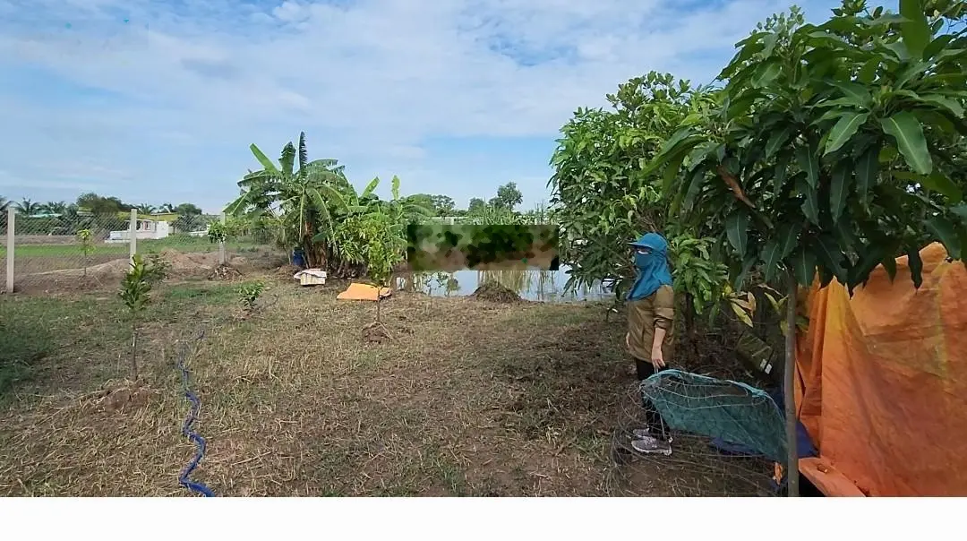 Bán đất NN đã có hàng rào, điện nước chính. Cách đường lớn 200m. Thích hợp xây nhà vườn