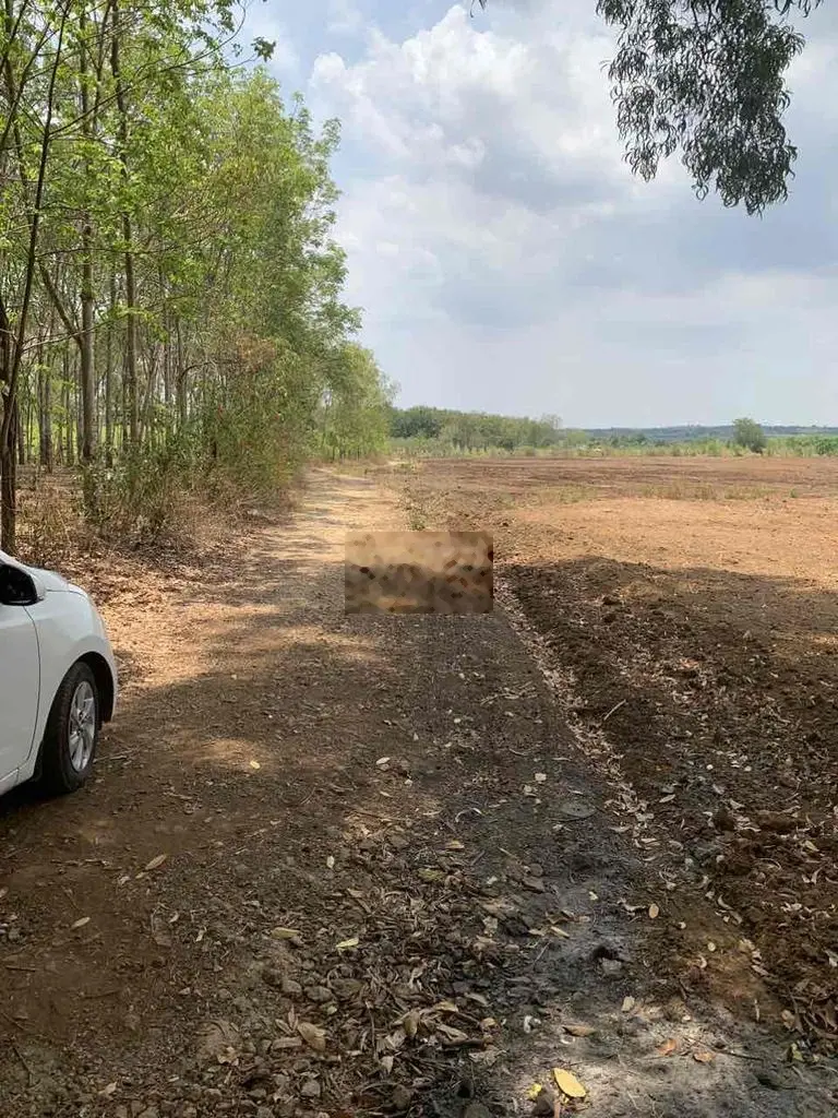 Bán 2 hecta đất lô góc có 300m thổ cư cách Sân Bay Long Thành 3km