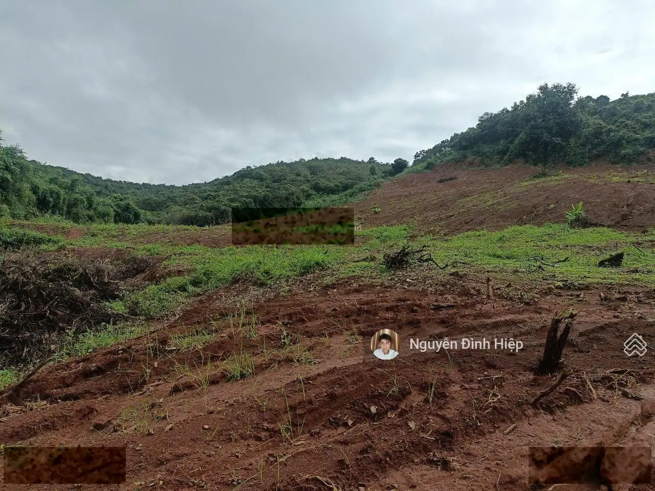 Bán đất Quảng Tân, 2.6ha, 100m đường đang đổ bê tông, giá bán 1,5 tỷ