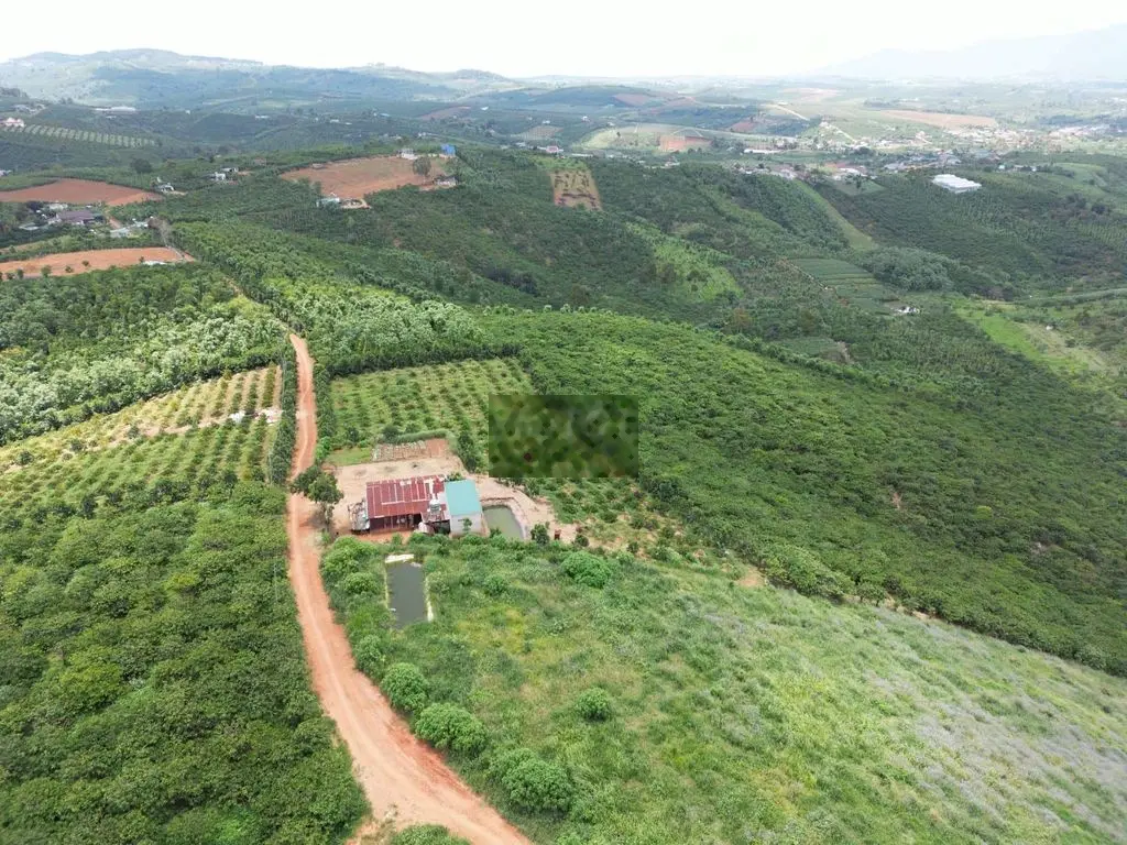 Đất view săn mây Ql20, xe hơi vào tận nơi, dân cư hiện hữu