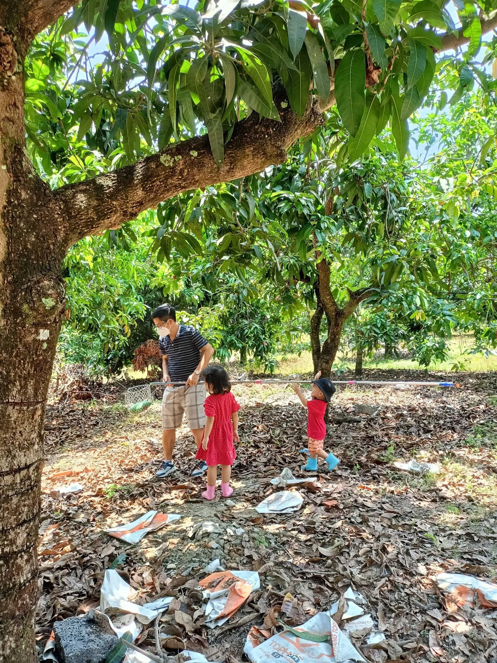 Bán Nhà vườn nghỉ dưỡng rộng 1.000m2. Có vườn xoài, nhà vườn mới xây. Giá 1.25 tỷ. LH 0961 854 823