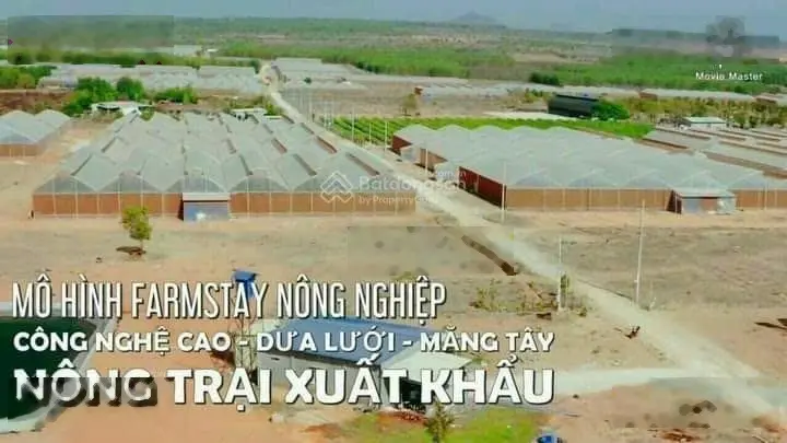 2ha1 Lô 2 mặt tiền liên huyện khu trang trại dưa lưới Hoà Thắng, giá 80k/m2, điện đường đã có