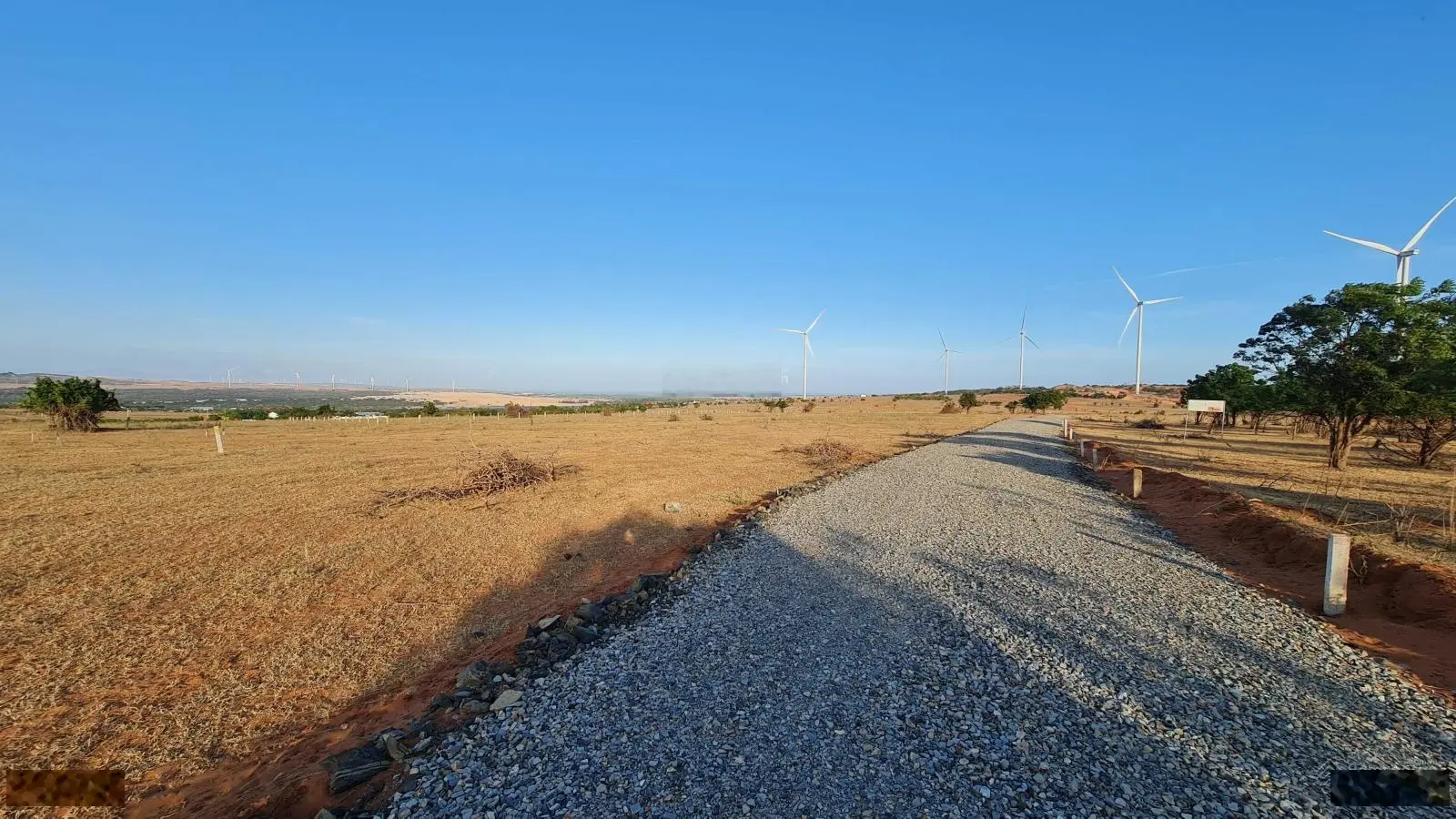 Cần bán 4000m2 view biển và Bàu Trắng Hòa Thắng kế bên KDL Mian Farm giá tốt nhất khu vực 850tr/sào