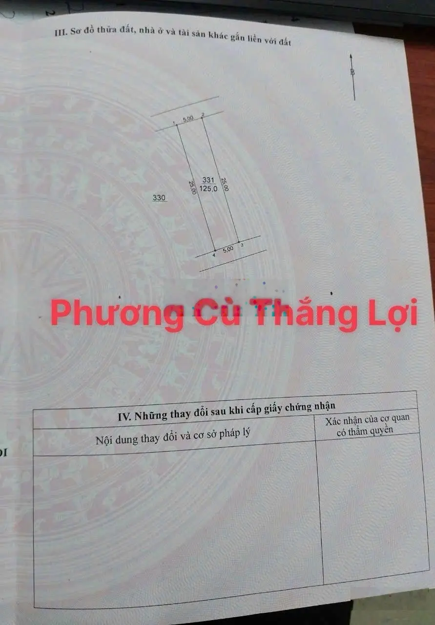 Đất đấu giá 125m2 Phương Cù -Thắng Lợi- Thường Tín Hà Nội