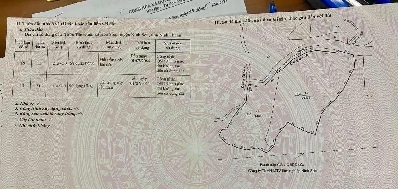 Bán 3,2ha CLN, đang trồng bạch đàn 2 năm, đường 6m thể hiện trên sổ, bám đường nhiều